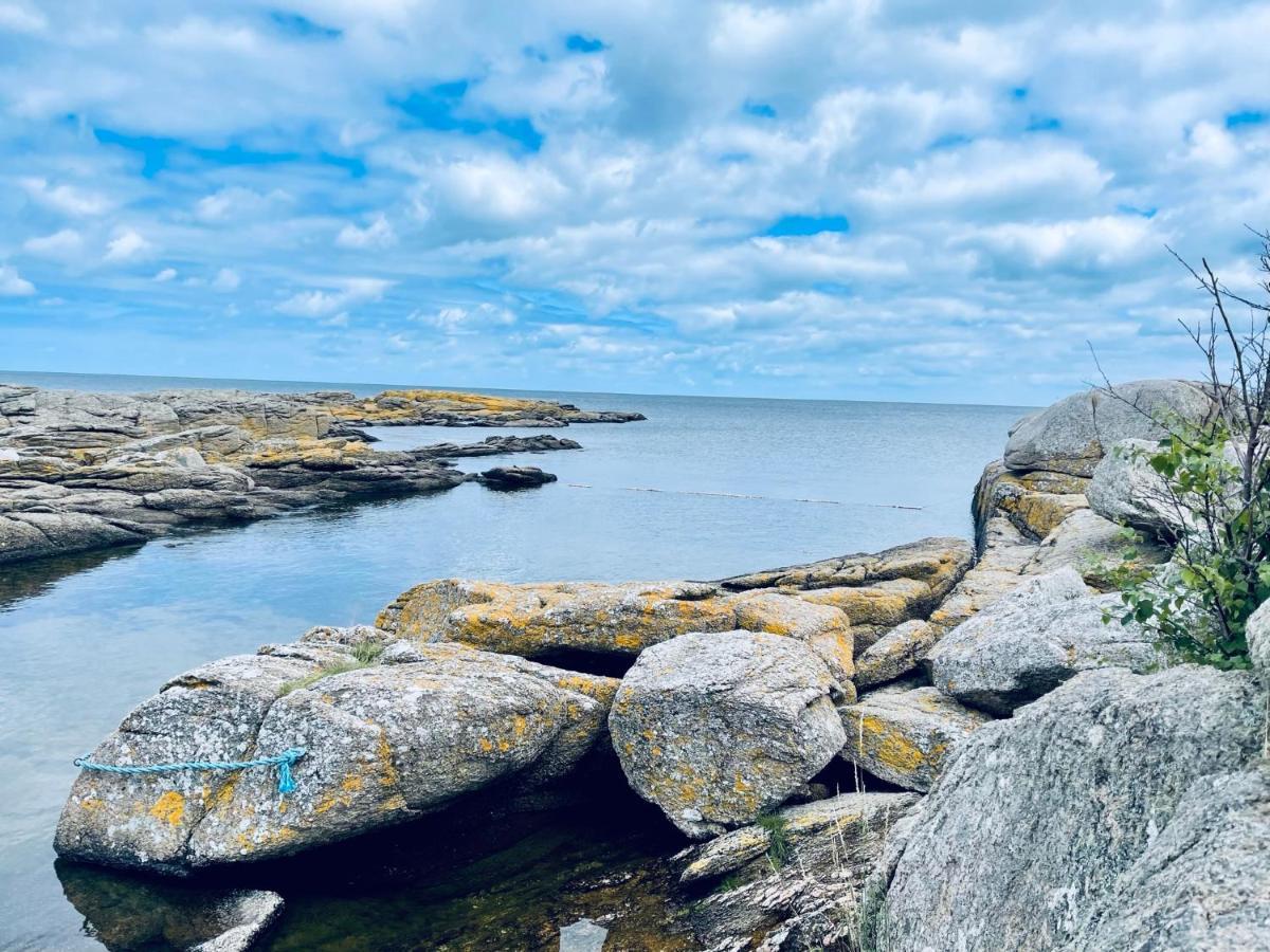 Nybygget Hus I Svaneke Taet Pa Klipper, Skov Og Hav Exterior photo